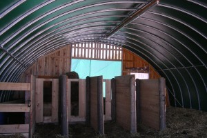 BOX CHEVAUX ROTH 2.JPG